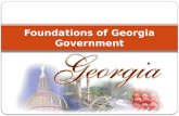 Foundations of Georgia Government