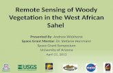 Remote Sensing of Woody Vegetation in the West African Sahel