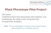 Plant Phenotype Pilot Project