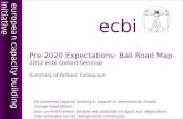 Pre-2020 Expectations: Bali Road Map 2012  ecbi Oxford Seminar  Summary of Fellows’ Colloquium