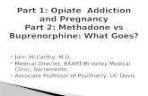 Part 1: Opiate   Addiction  and  Pregnancy Part 2: Methadone  vs Buprenorphine :  What Goes?