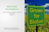 Biofuel Economics