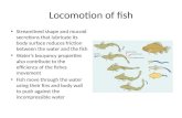 Locomotion of fish