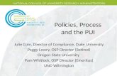Policies, Process and the PUI
