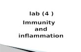 lab (4 ) Immunity   and inflammation