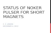 STATUS OF  noker pulser  for Short  magnetS