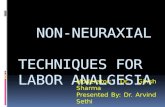 NON-NEURAXIAL                TECHNIQUES FOR LABOR ANALGESIA