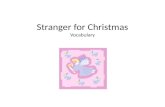 Stranger for Christmas Vocabulary