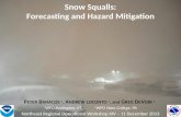 Snow Squalls: Forecasting and Hazard  Mitigation