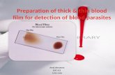 Preparation of thick & thin blood film for detection of blood parasites