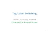 Tag/Label Switching