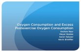 Oxygen Consumption and Excess  Postexercise  Oxygen Consumption
