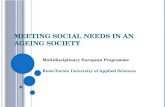 Meeting social needs in an ageing society