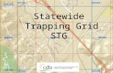 Statewide  Trapping Grid STG