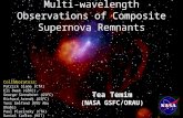 Multi-wavelength Observations of Composite Supernova Remnants