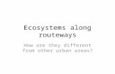 Ecosystems along  routeways