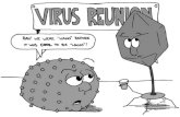 Viry studované v Laboratoři strukturní virologie : pikornaviry včelí viry  Leishmania RNA virus