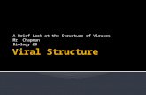 Viral Structure