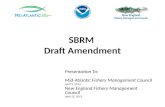 SBRM  Draft Amendment