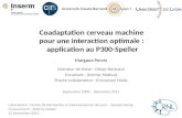 Coadaptation cerveau machine  pour  une interaction optimale :  application  au P300-Speller