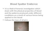 Blood Spatter Evidence