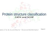 Protein structure classification