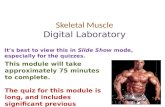 Skeletal Muscle Digital Laboratory