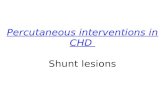 Percutaneous interventions in CHD  Shunt lesions
