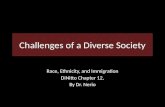 Challenges of a Diverse Society