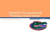 Student Occupational Therapy Association