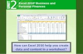Excel  2010 ®  Business and Personal Finances