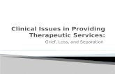 Clinical Issues in Providing Therapeutic Services: