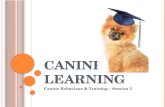 Canine Learning