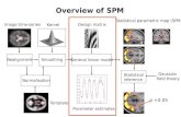Overview of SPM