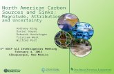 North American Carbon Sources and Sinks:   Magnitude, Attribution  and Uncertainty