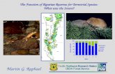 The Function of Riparian Reserves for Terrestrial Species: What was the Intent?