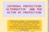 INTERNAL PROTECTION ALTERNATIVE  AND THE ACTOR OF PROTECTION