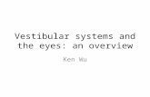 Vestibular systems and the eyes:  a n  overview
