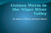 Guinea Worm in the Niger River Valley
