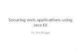 Securing web applications using Java EE