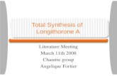 Total Synthesis of  Longithorone A