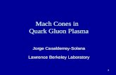 Mach Cones in   Quark Gluon Plasma