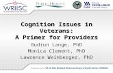 Cognition Issues in Veterans: A Primer for Providers