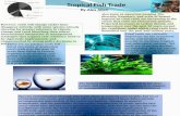 Tropical Fish Trade             By Alex Allen