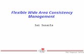 Flexible Wide Area Consistency Management