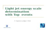 Light jet energy scale determination  with Top  events