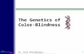 The Genetics of  Color-Blindness