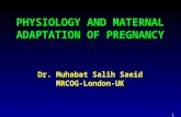 PHYSIOLOGY AND MATERNAL ADAPTATION OF PREGNANCY