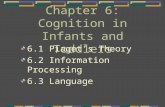 Chapter 6: Cognition in Infants and Toddlers