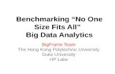 Benchmarking “No One Size Fits All” Big Data Analytics